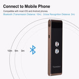 Portable voice translator